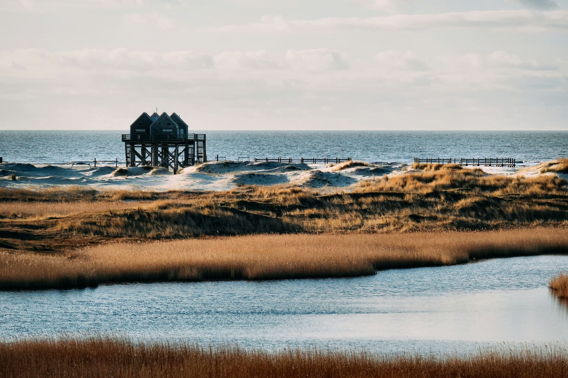 Strandhäuser in Sankt Peter Ording umgeben von Sand und Meer